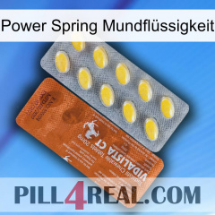 Power Spring Mundflüssigkeit 42